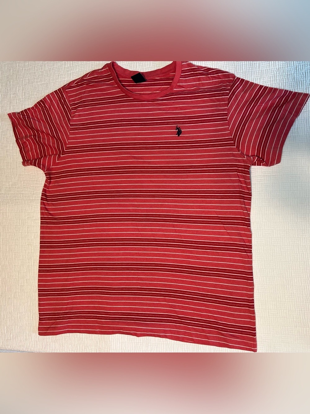 U.S. Polo Assn. Men’s XL Rust Red Striped Crew Neck Tee